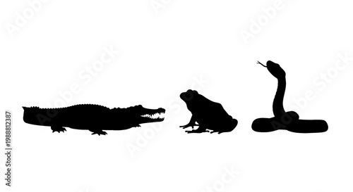 Silhouette of a crocodile, frog, and snake on transparent background