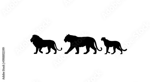 A silhouette of a lion and its evolution on transparent background