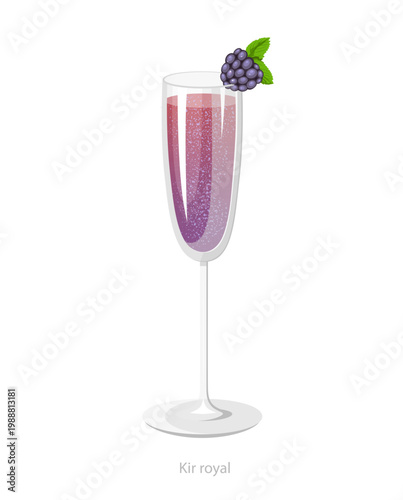 Vector illustration of a kir royal cocktail in a flute glass with blackberry garnish and mint leaves, designed for bar menus and beverage graphics.