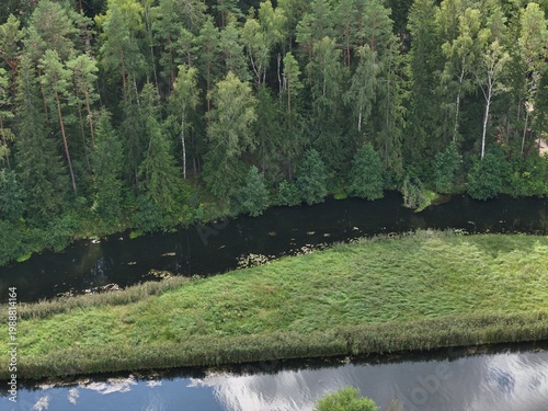 A flat island in the middle of a picturesque forest river in summer. River island.