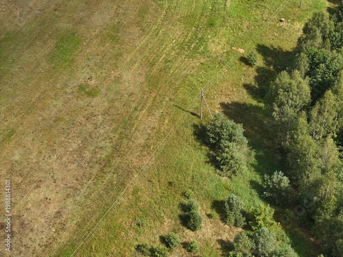 An old power line on the border between a field and a forest provides electricity to a remote settlement in Siberia, Russia. A concrete power line pole from the 20th century.