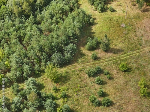 A rural two-track sand road in the middle of a field, leading into the forest. Aerial view of the rural road. A picturesque rural road in summer, seen from a drone.