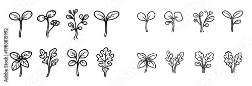 Nature icons with seedling clover leaf outline