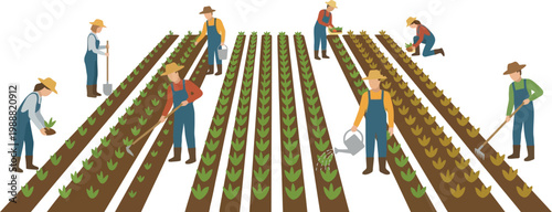 Farmers work together in the field to harvest fresh crops during the summer day.