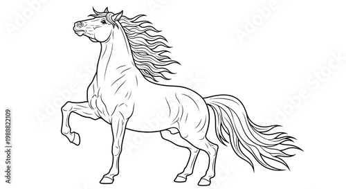 Vector horse illustration, black and white horse drawing, rearing horse, equine art