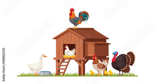 Farm animals, rooster, henhouse, poultry, farmhouse, rural scene, vector illustration