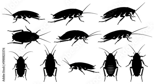 Cockroach silhouettes, black insect icons, bug vector set, pest control illustrations