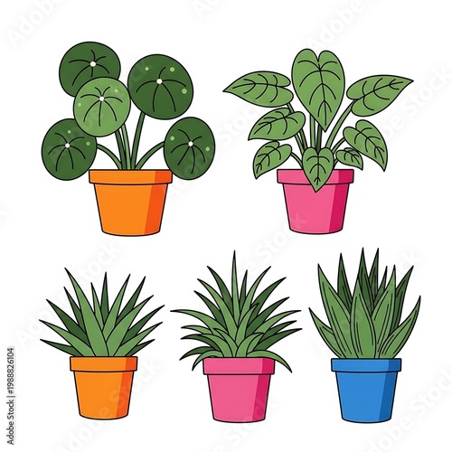 Cartoon potted plants a cheerful collection of houseplants in colorful containers