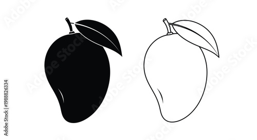 Two mangoes displayed in contrasting styles a striking silhouette
