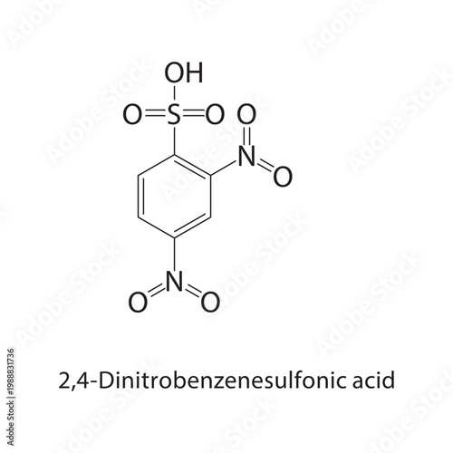 2,4-Dinitrobenzenesulfonic acid skeletal structure. sulfonic acid compound schematic illustration. Simple diagram, chemical formula.