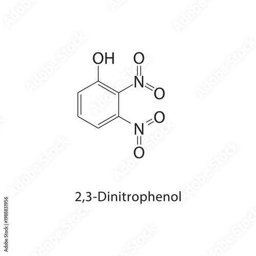 2,3-Dinitrophenol skeletal structure. phenol compound schematic illustration. Simple diagram, chemical formula.