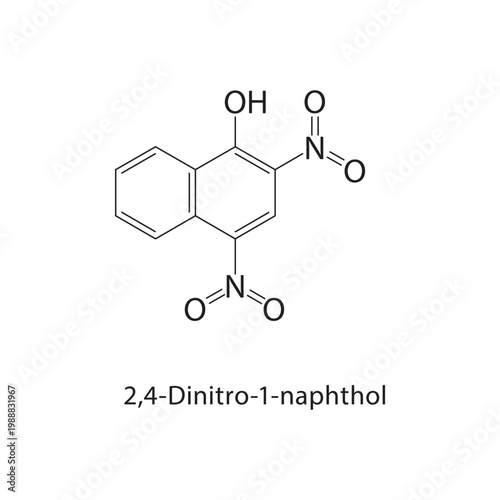 2,4-Dinitro-1-naphthol skeletal structure. phenol compound schematic illustration. Simple diagram, chemical formula.