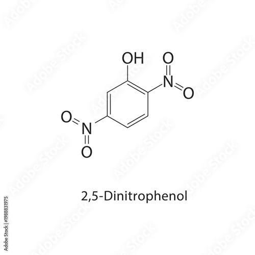 2,5-Dinitrophenol skeletal structure. phenol compound schematic illustration. Simple diagram, chemical formula.