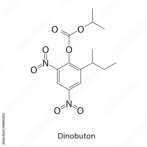 Dinobuton skeletal structure. pesticide compound schematic illustration. Simple diagram, chemical formula.