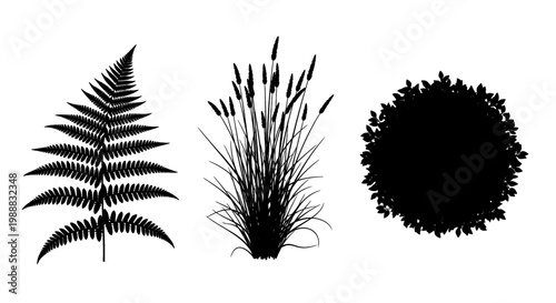 Collection of black silhouette plant icons including fern reeds and a bush for natural design elements and landscaping concepts isolated on white