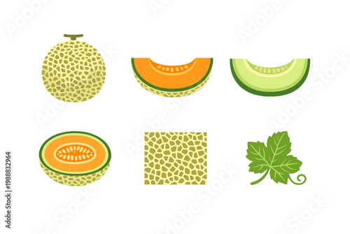 Vector illustration set of melon icons including whole cantaloupe, honeydew slices with orange and green flesh, cross-section with seeds, textured skin pattern, and green leaf with vine tendril.