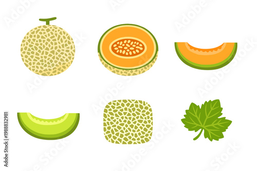 Collection of melon fruit icons featuring a whole cantaloupe with textured rind, orange and green flesh slices, a cross-section with seeds, a unique square melon, and a green leaf on white background.