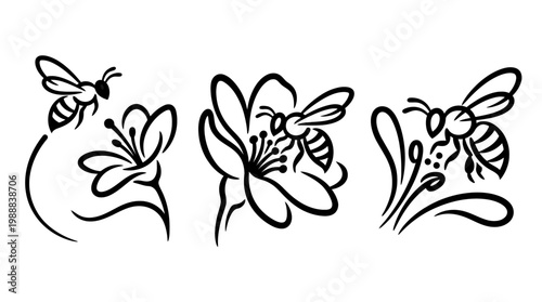 Elegant Black and White Line Art of Bees and Flowers.