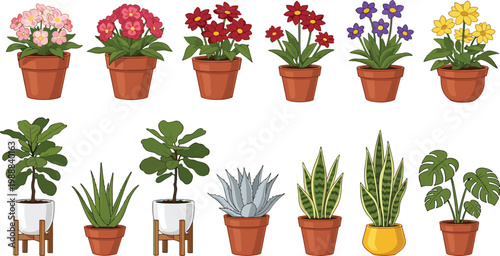 Colorful Potted Flower and Indoor Plant Icon Set with Rose, Succulent, Aloe, Monstera, and Snake Plant for Home Decor, Garden, and Botanical Nature Designs