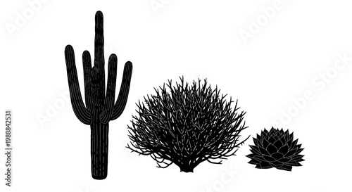Silhouettes of desert plants, including a saguaro cactus, against a white background