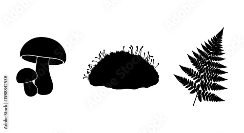 Black silhouette of forest elements: mushrooms, moss, and fern fronds on a white background
