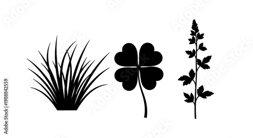 Simple botanical silhouettes of grass, clover, and a flowering plant on a white background.