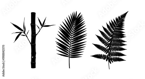 Silhouettes of diverse tropical leaves and bamboo stalks on a white background