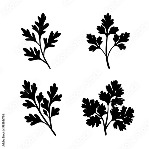 Four simple vector images of black parsley leaves on a white background