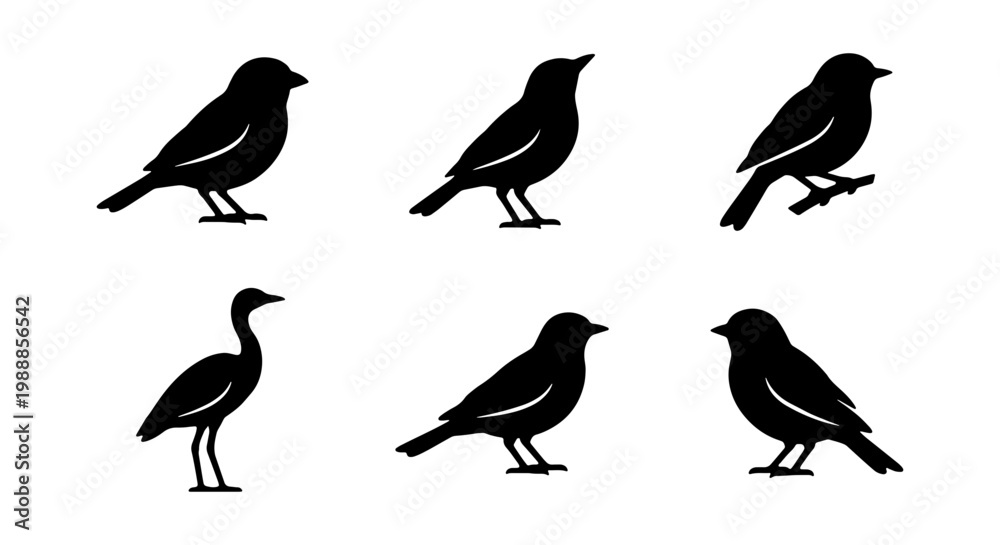 Fototapeta premium Black bird silhouette collection, 6 songbird vector icons, wild avian nature shapes