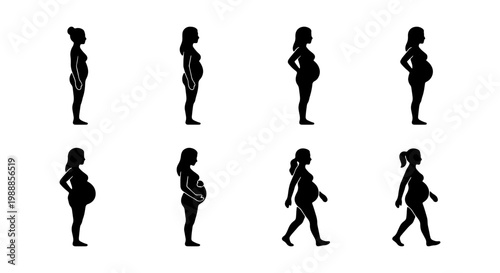 Pregnant woman silhouette set, pregnancy stages vector icons, motherhood growth cycle