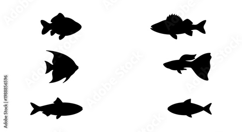 Black fish silhouette set, 6 aquatic animal icons, marine life vector collection