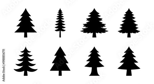 Pine tree silhouette set, 8 evergreen forest icons, black conifer vector elements