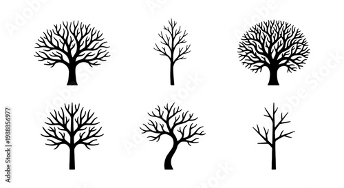 Bare tree silhouettes set, 6 winter deciduous tree icons, black leafless branch vectors