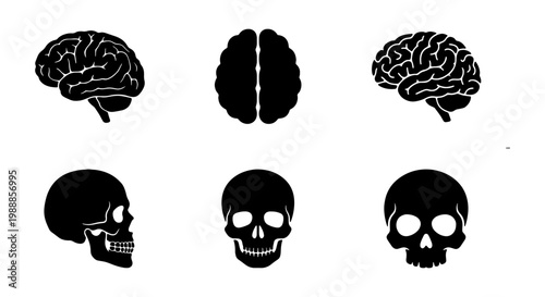 Human brain and skull icons set, medical anatomy vector silhouettes, 6 black symbols