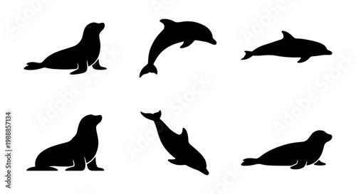 Marine animal silhouettes, dolphin and seal vector set, 6 aquatic mammal icons for logo