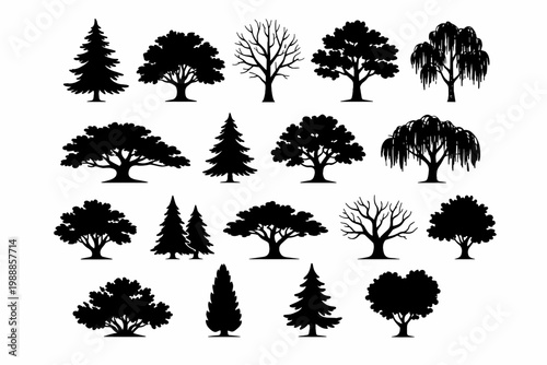 Large Set of Black Tree Silhouettes Featuring Various Deciduous and Coniferous Species like Pine, Oak, Willow, and Bare Winter Trees; Vector Icons for Landscape Design, Nature Graphics, and
