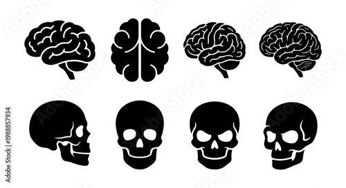 Human brain and skull icon set, black silhouette anatomy symbols, 8 medical vector elements for neurology and biology education
