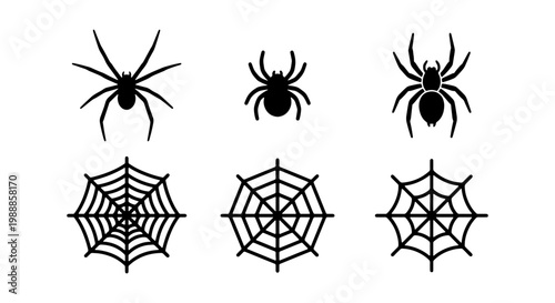 Black spider silhouettes and spiderweb icons set, 6 vector elements for Halloween design, creepy arachnid and cobweb graphics on white background