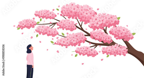 Woman admiring blooming sakura tree branch on black background