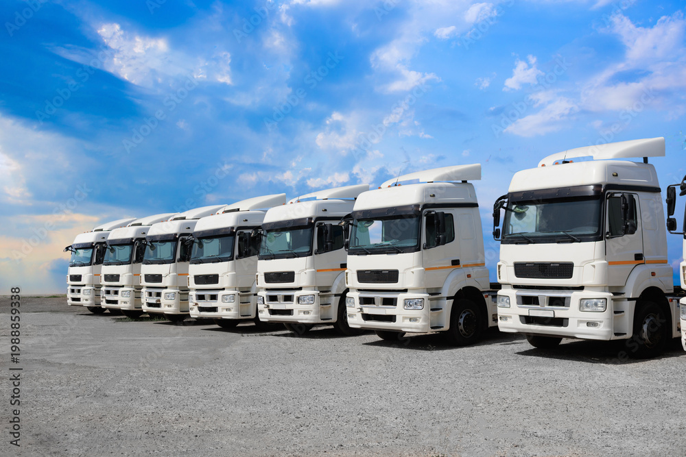 Naklejka premium New Trucks in a Row for Sale.
