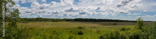 Obraz na płótnie Manitoba Prairie Meets Boreal Forest in a Summer Day Panorama