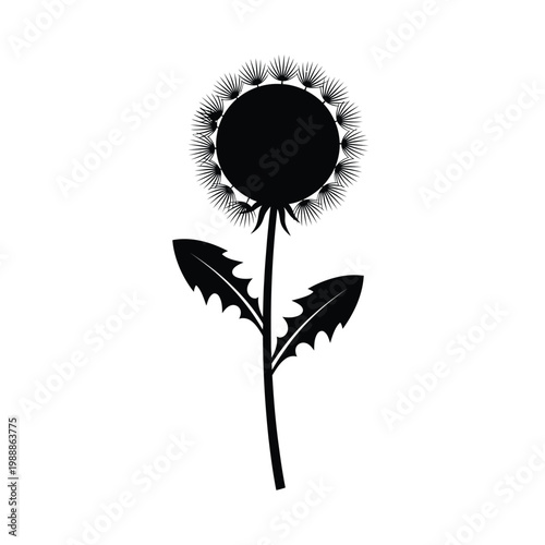 A silhouette of a dandelion flower with serrated leaves stands out against a white background.