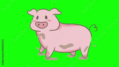 Cute Cartoon Pink Pig Splashing in Mud Puddles Green Screen