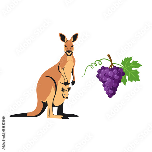 Wild Kangaroo with Baby Joey in Pouch and Delicious Purple Grapes Illustration