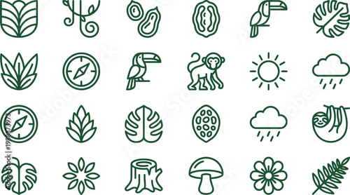A collection of green line icons featuring tropical leaves, animals, and weather symbols on a white background
