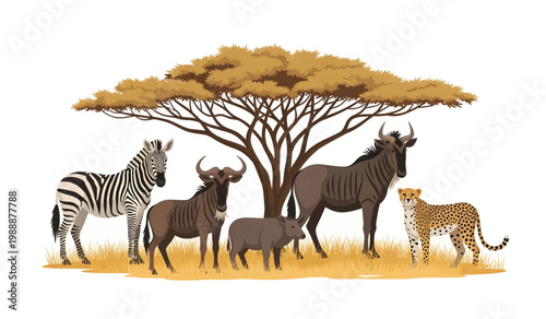 Wild animals standing under Savana Tree