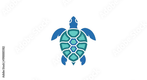 Fotografie Blue turtle shell with flippers.