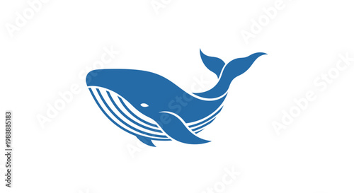 Blue Whale Marine Mammal Illustration.
