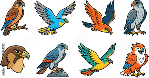 Falcon and hawk cartoon set featuring birds of prey, flying and perched poses, detailed wildlife raptor characters in colorful flat vector illustration style