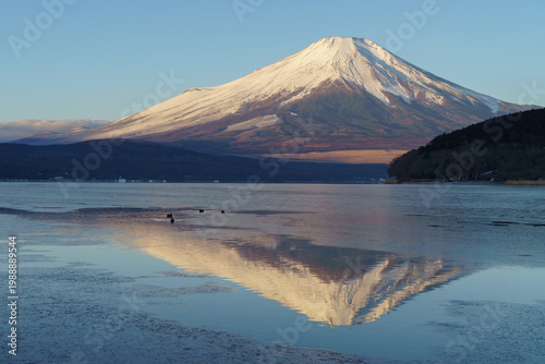 Majestic sunrise view of Mount Fuji reflected on the partially frozen surface of Lake Yamanaka in mid-winter, Yamanashi, Japan.